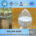 Top Qualität von 10 Jahren Erfahrung Hersteller essbares Halal Gum Gellan zum Glätten von Oberflächenmitteln